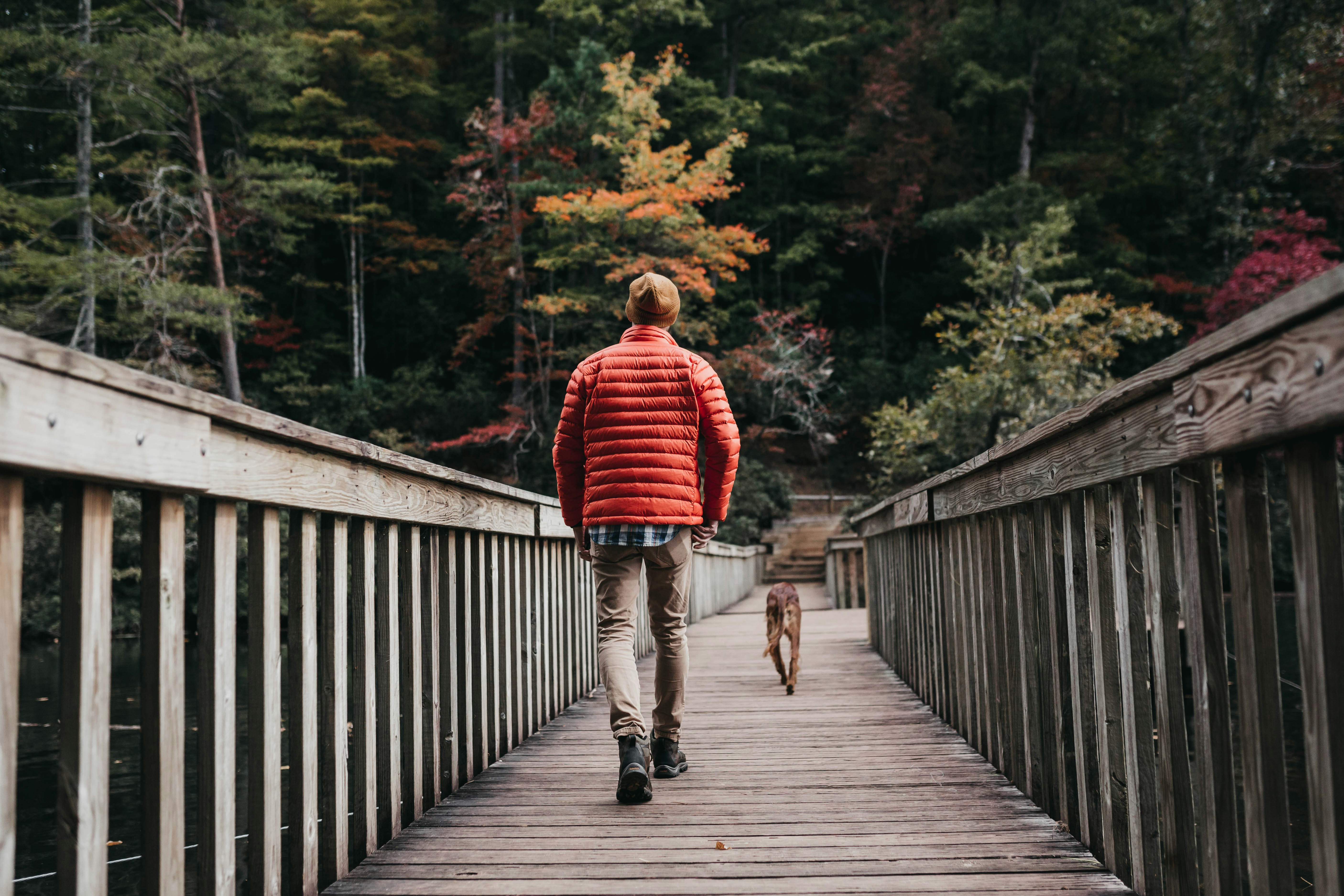 Personne marchant dans la nature